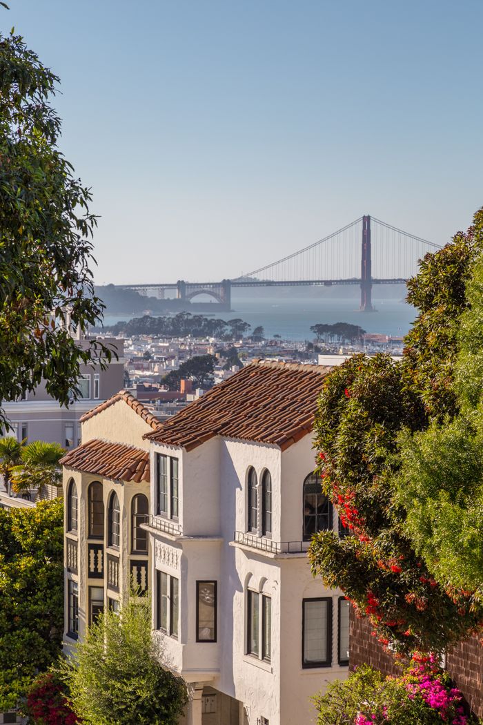 View from San Francisco neighborhood with Golden Gate Bridge in the background and greenery framing the cityscape.
